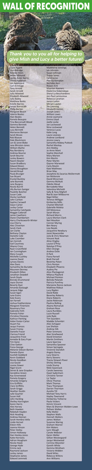 Bear Cub Wall Recognition Scaled